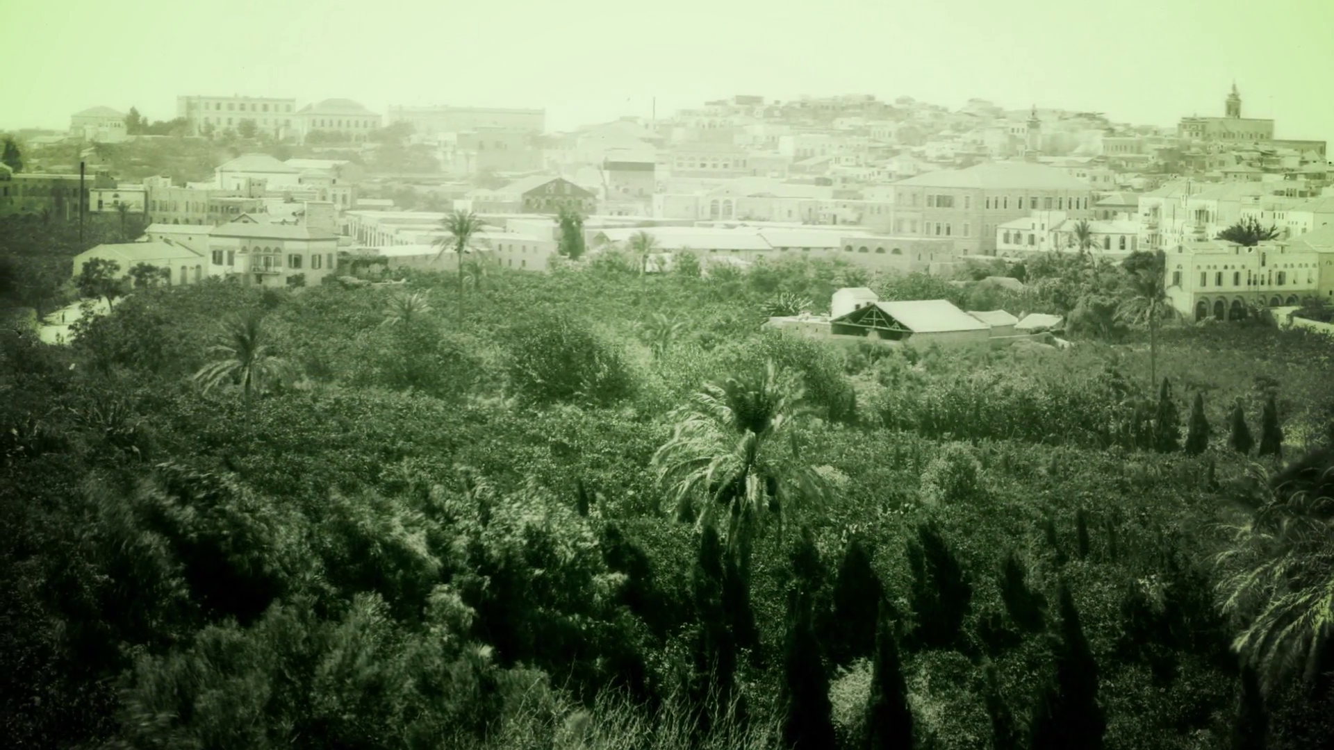  Palestinan city