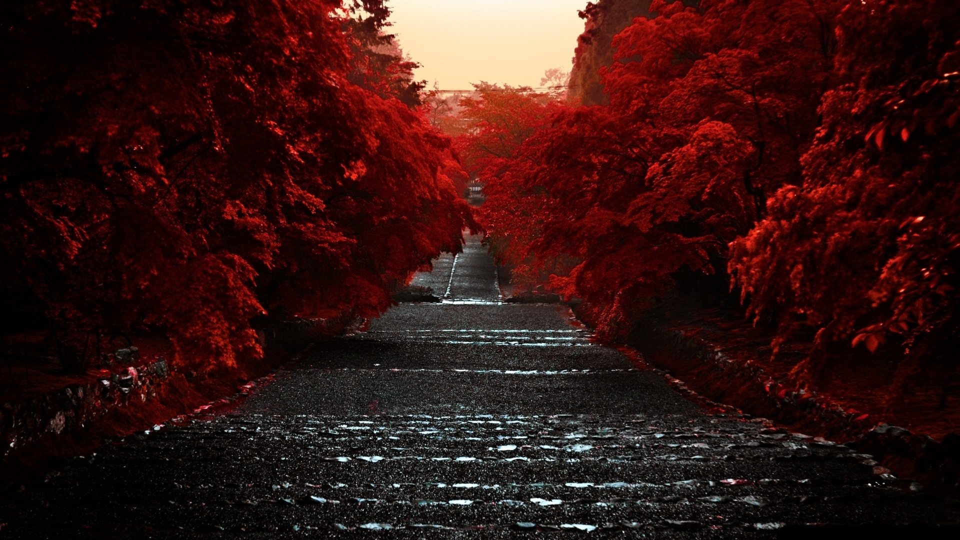 man made path Image