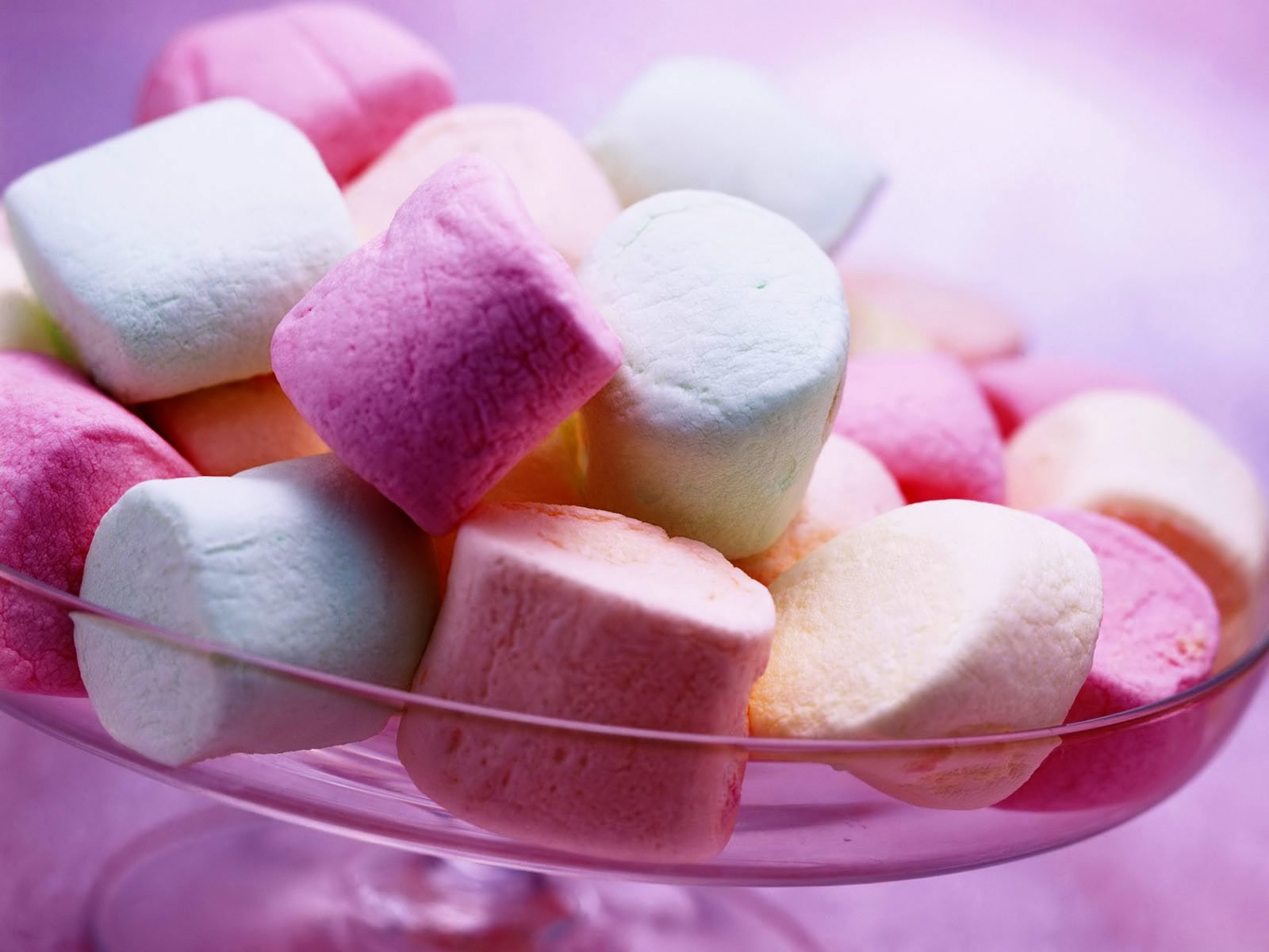 Marshmallows Come From at Tanya Lorenzen blog