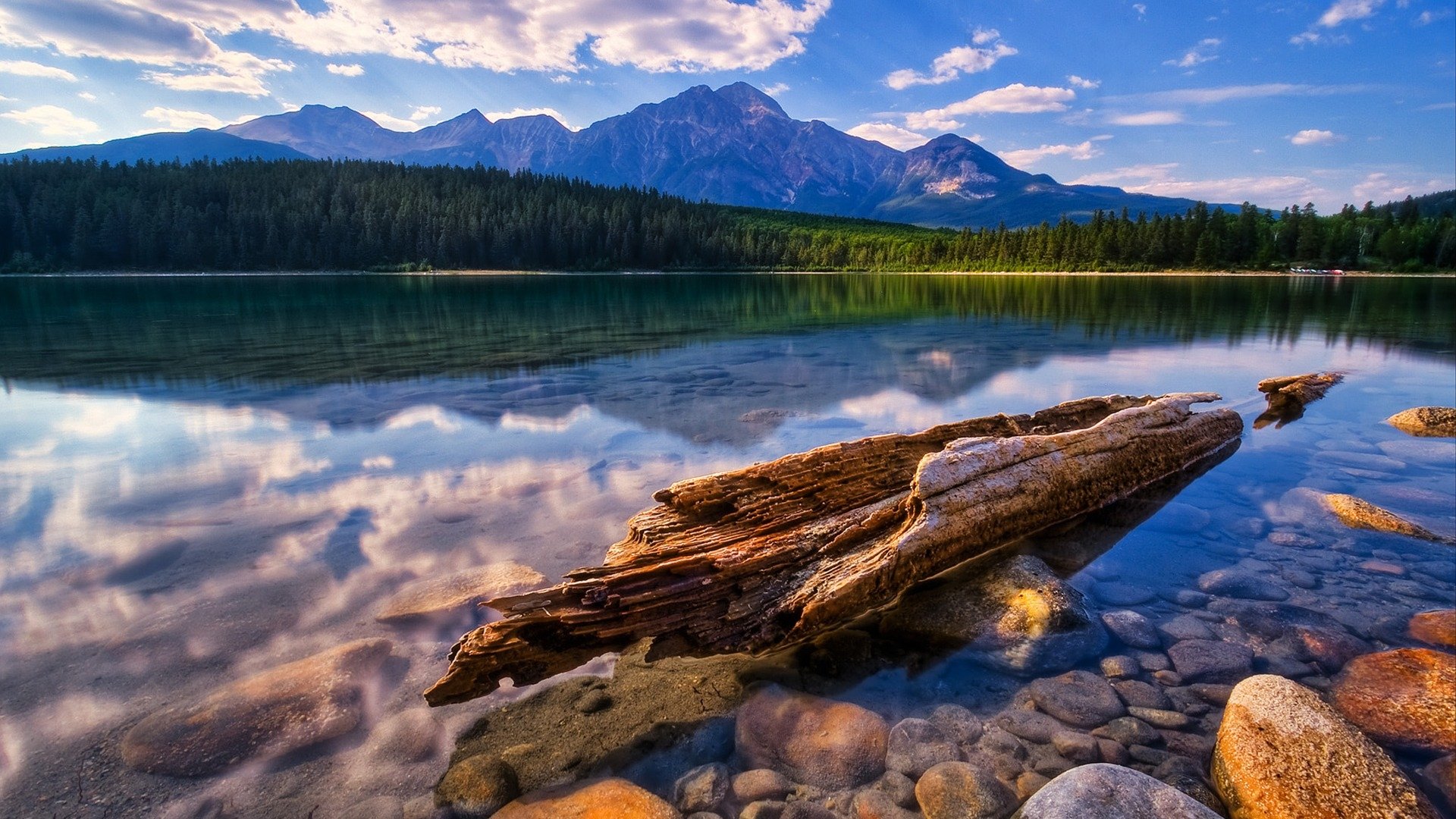 A tranquil lake reflects the sky and towering mountains, bordered by a dense forest with clear waters revealing rocks and logs along the shore.