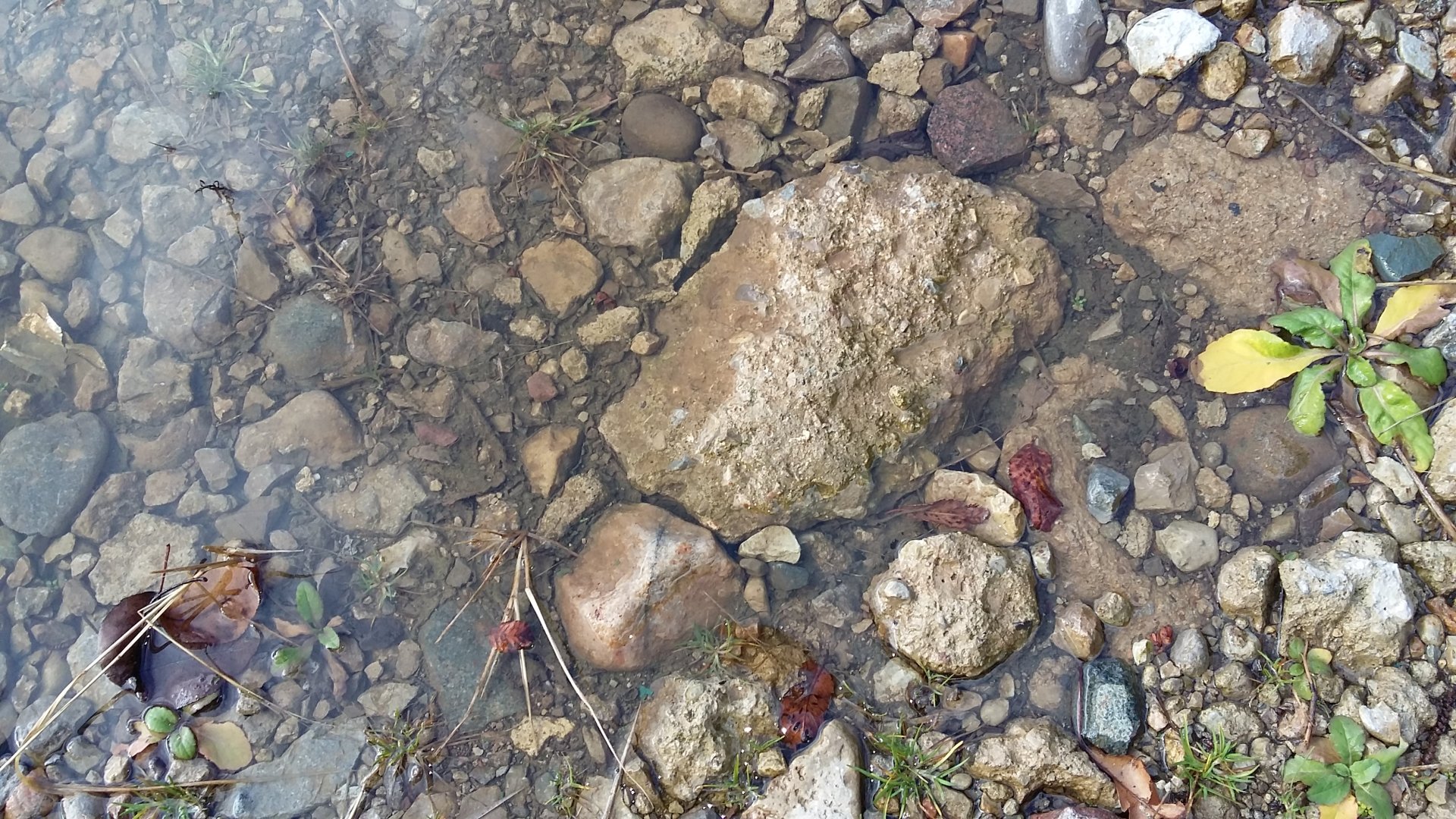 stone puddle nature rock Image