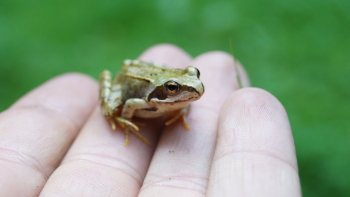 Preview Image 286187
