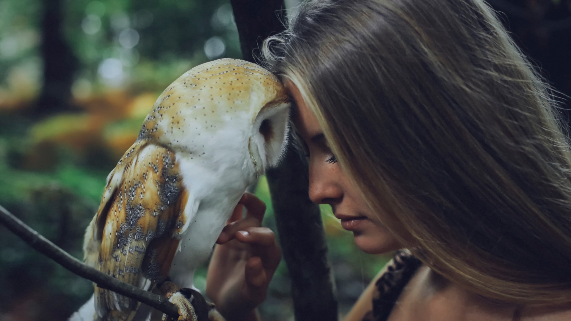 Owl - Girl by David Olkarny