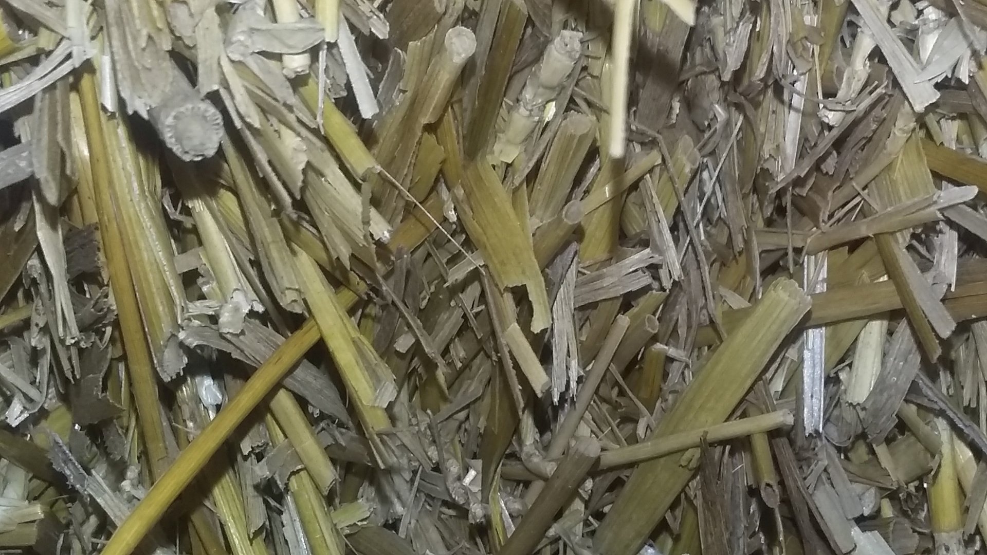 nature straw Image