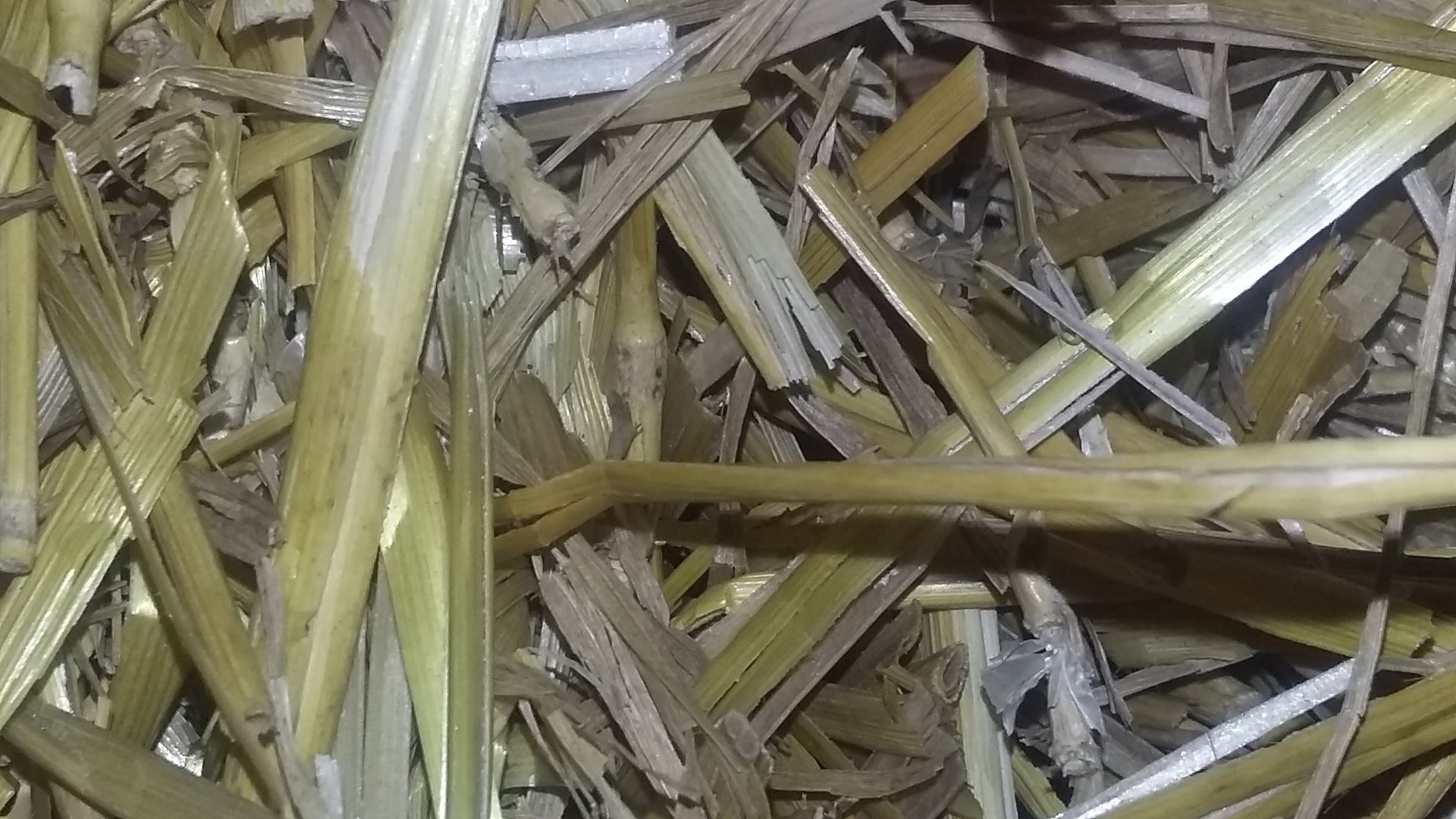 nature straw Image