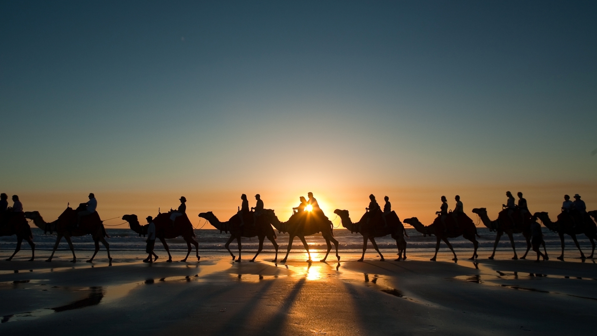 Tourists Camel Train