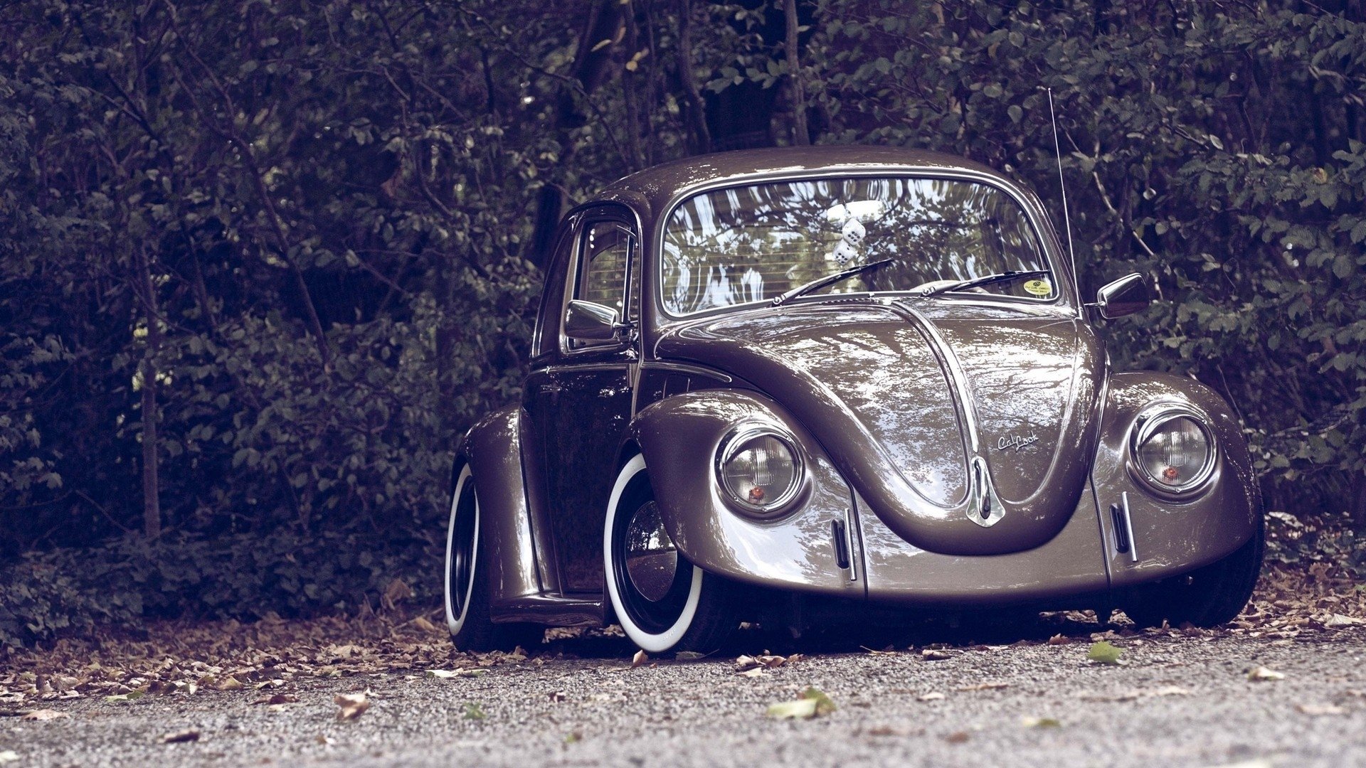 vehicle Volkswagen Beetle Image