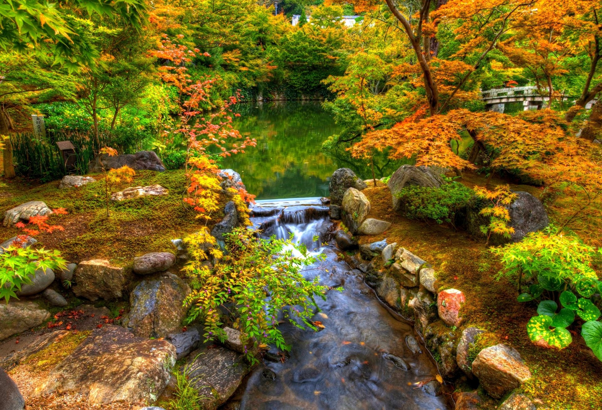 A serene garden park in fall with vibrant bushes surrounding a flowing stream and a wooden bridge in the background, captured in vivid photography.