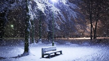 Preview Image 288918