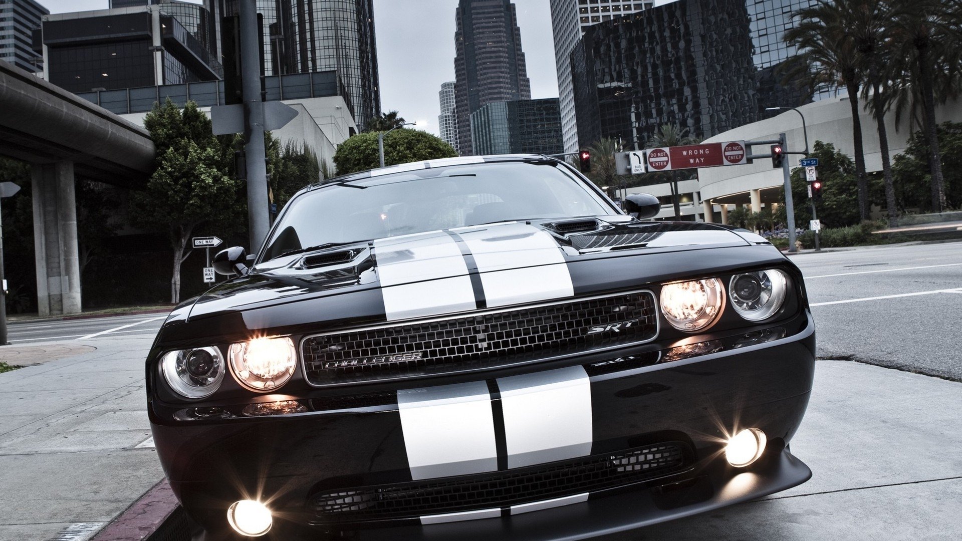 vehicle Dodge Challenger SRT Image
