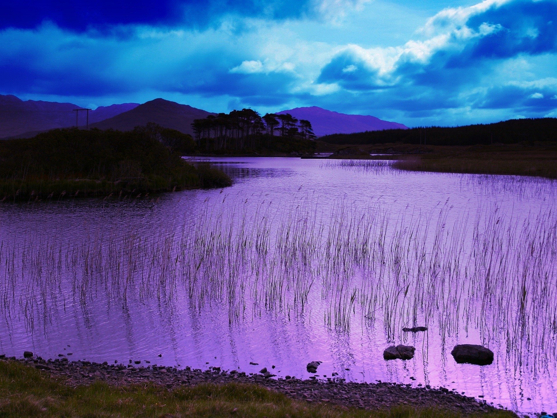 A serene scenic view of a purple-hued river surrounded by tall grasses and distant mountains under a cloudy sky, showcasing the beauty of nature.