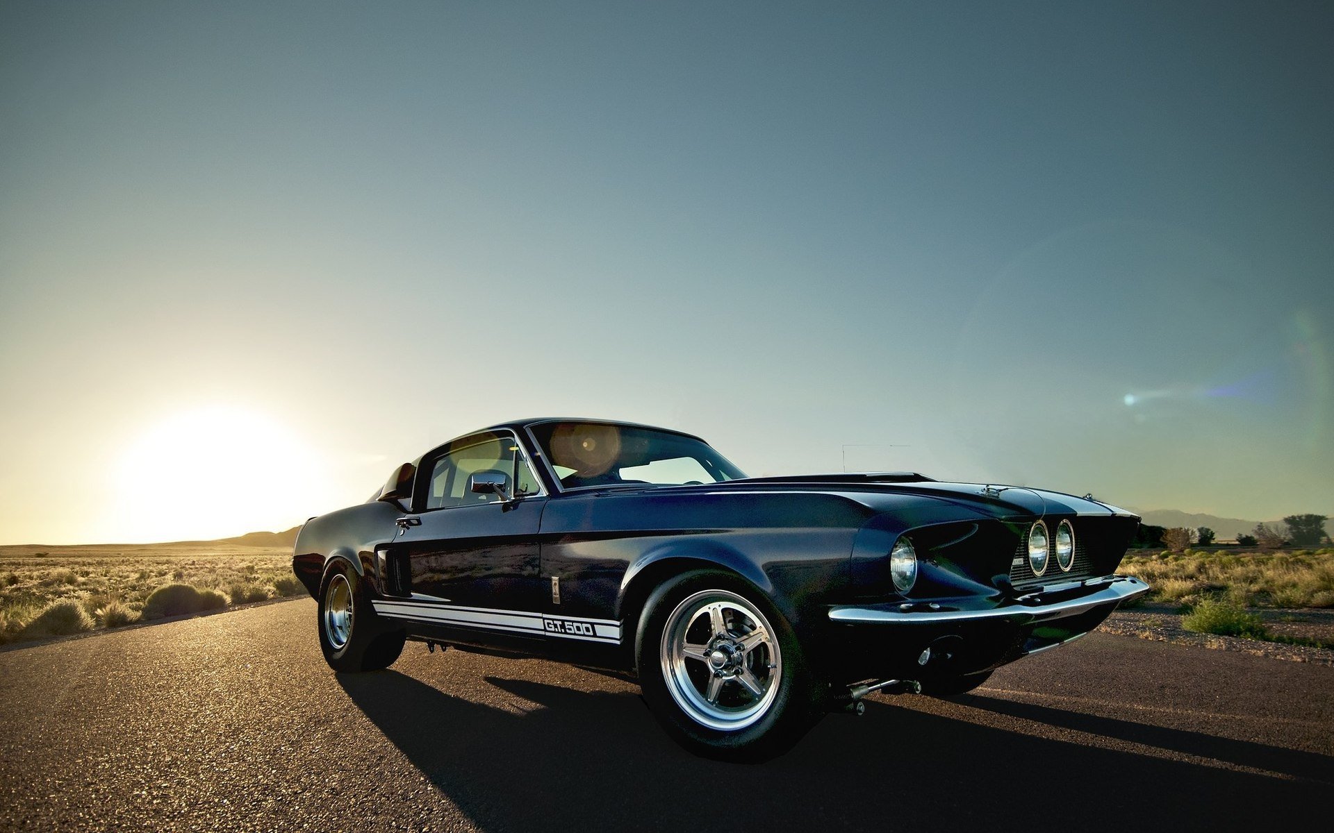 vehicle Ford Mustang GT500 Image