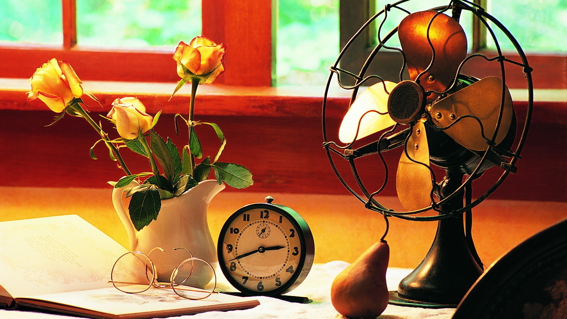 fan photography still life Image
