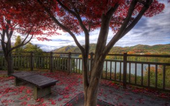 Preview Image 289448