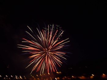 Preview Image 289659