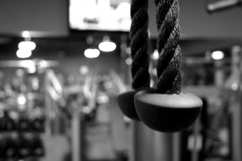 Preview Image 289817