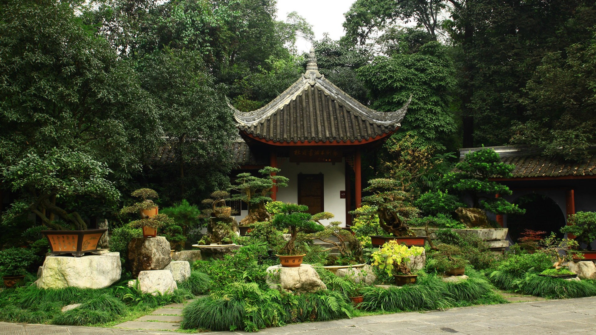 Japanese Bonsai Garden
