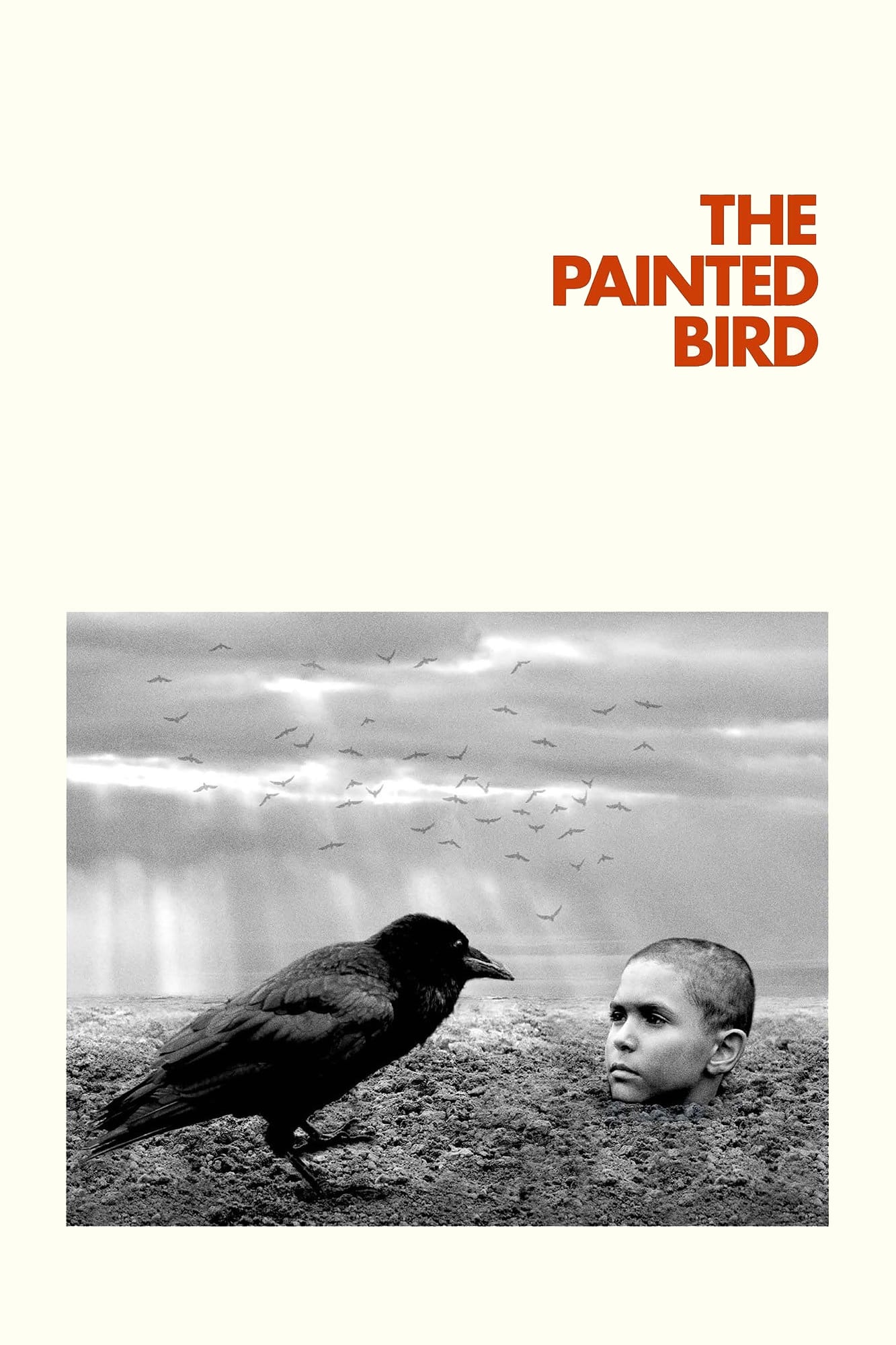 The Painted Bird Picture