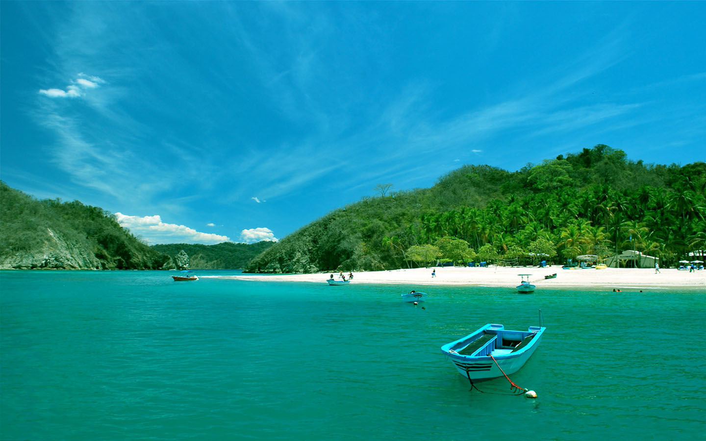 Boat in Tropical Ocean - Image Abyss