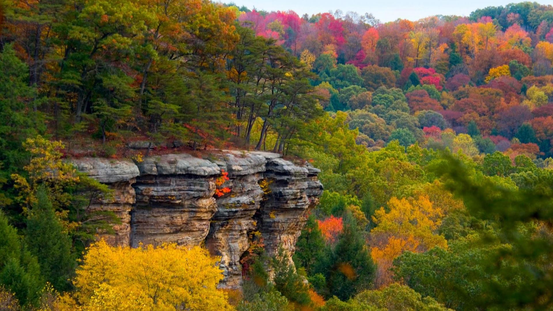 Cliff in Autumn Forest - Image Abyss