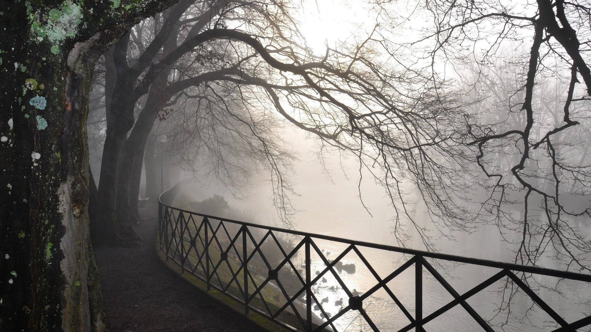 Fog Image - ID: 290620 - Image Abyss