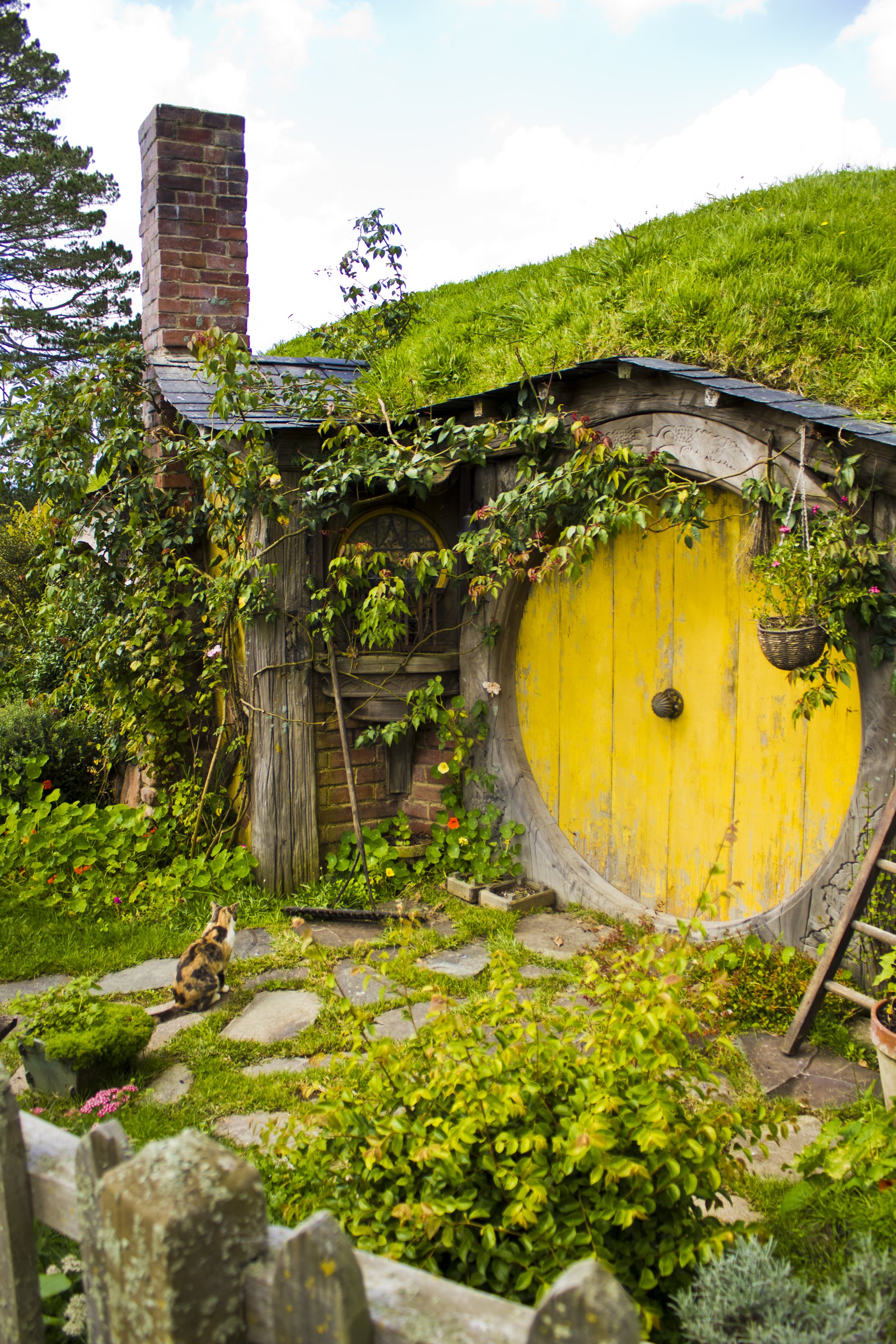  That cat is a great touch.