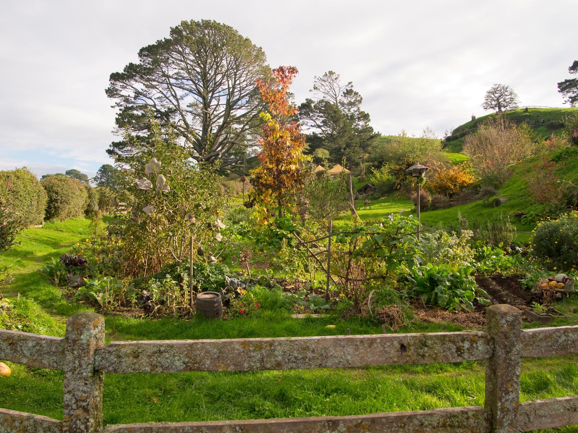  Hobbit village
