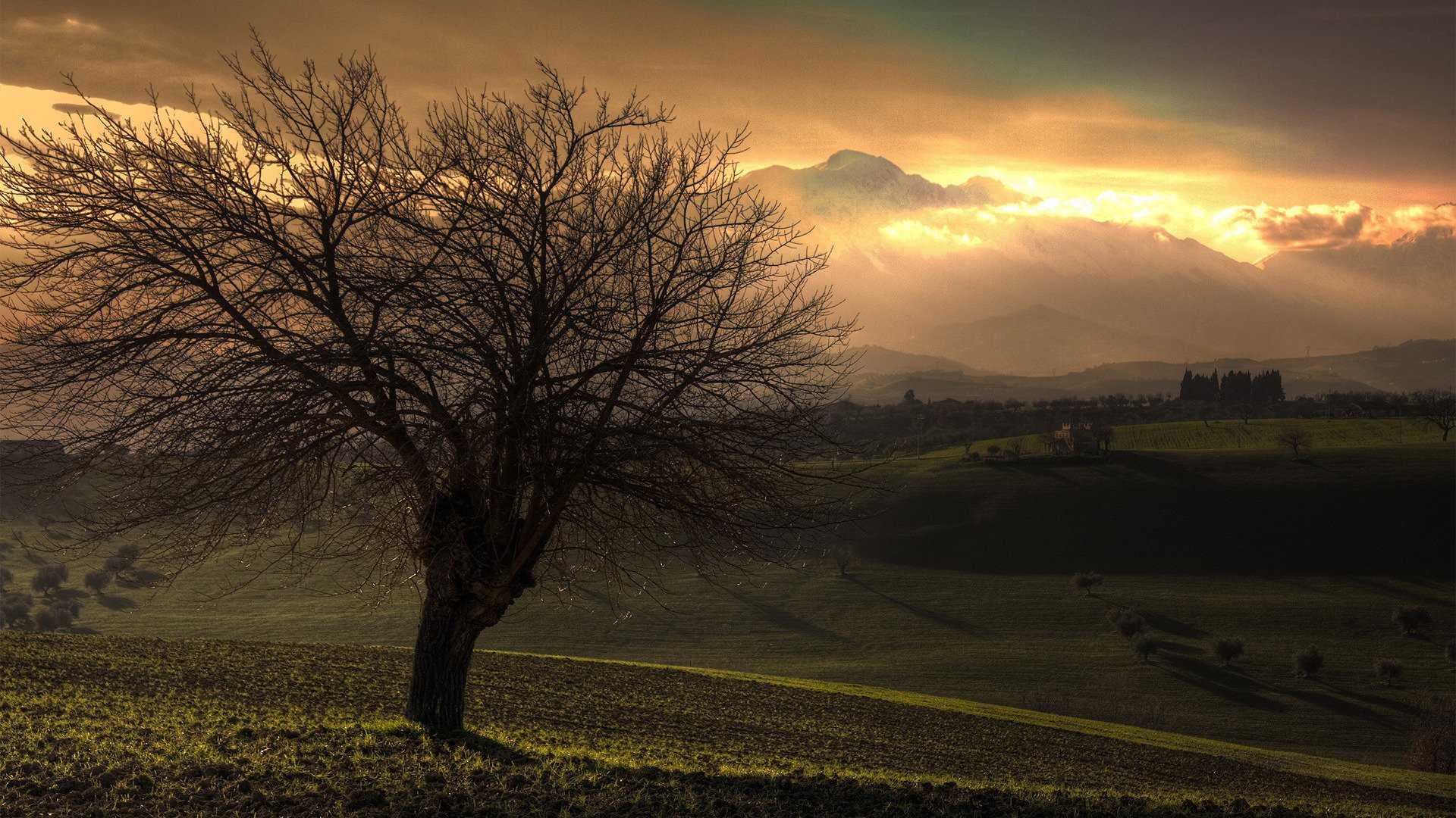 A solitary tree stands in a vibrant landscape at sunset, surrounded by rolling hills and a dramatic sky, showcasing the beauty of nature.
