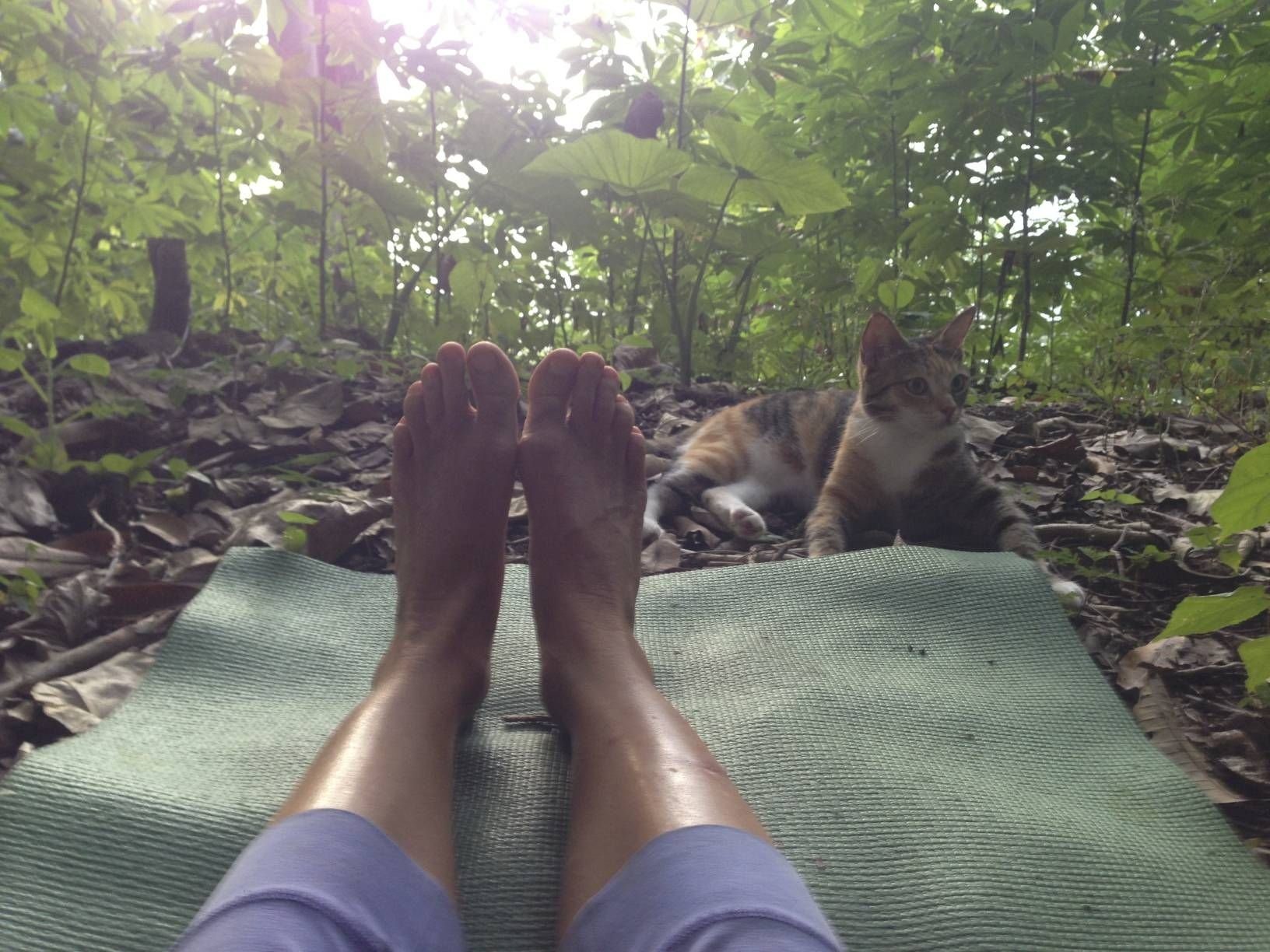  Captain Lizzy Clark and Amelia the cat by Lizzy Clark