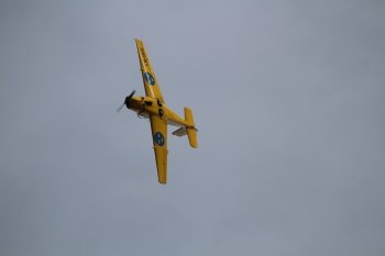 Preview Image 290008