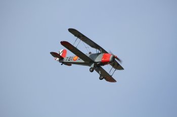 Preview Image 290013