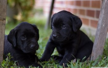 Preview Image 290826
