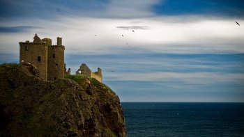 Preview Image 290861