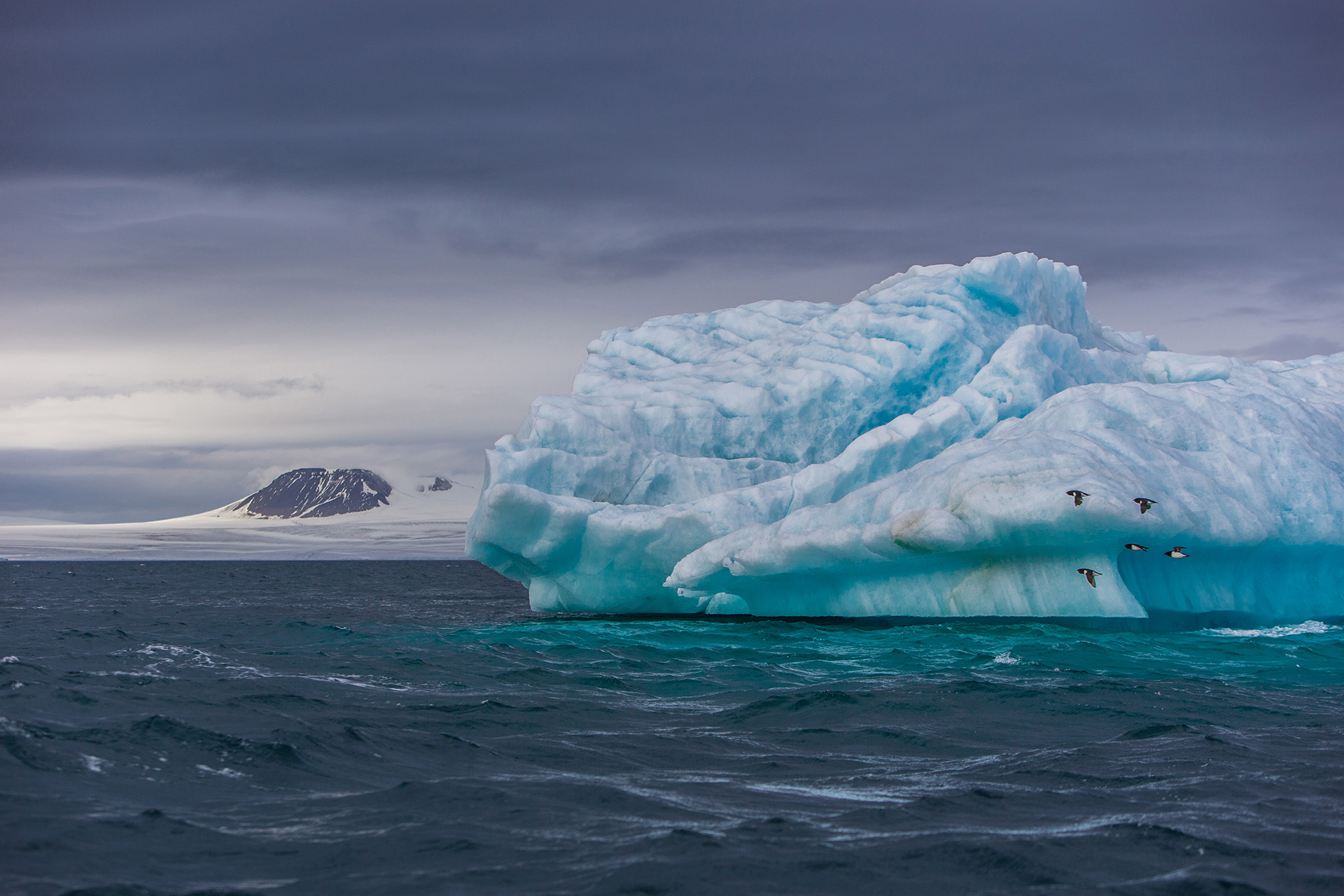 Бассейн северного ледовитого океана занимает. Арктика Северный Ледовитый океан. Ледовитый океан Айсберг. Острова Северного Ледовитого океана. Айсберги в Северный Ледовитый океан в России.
