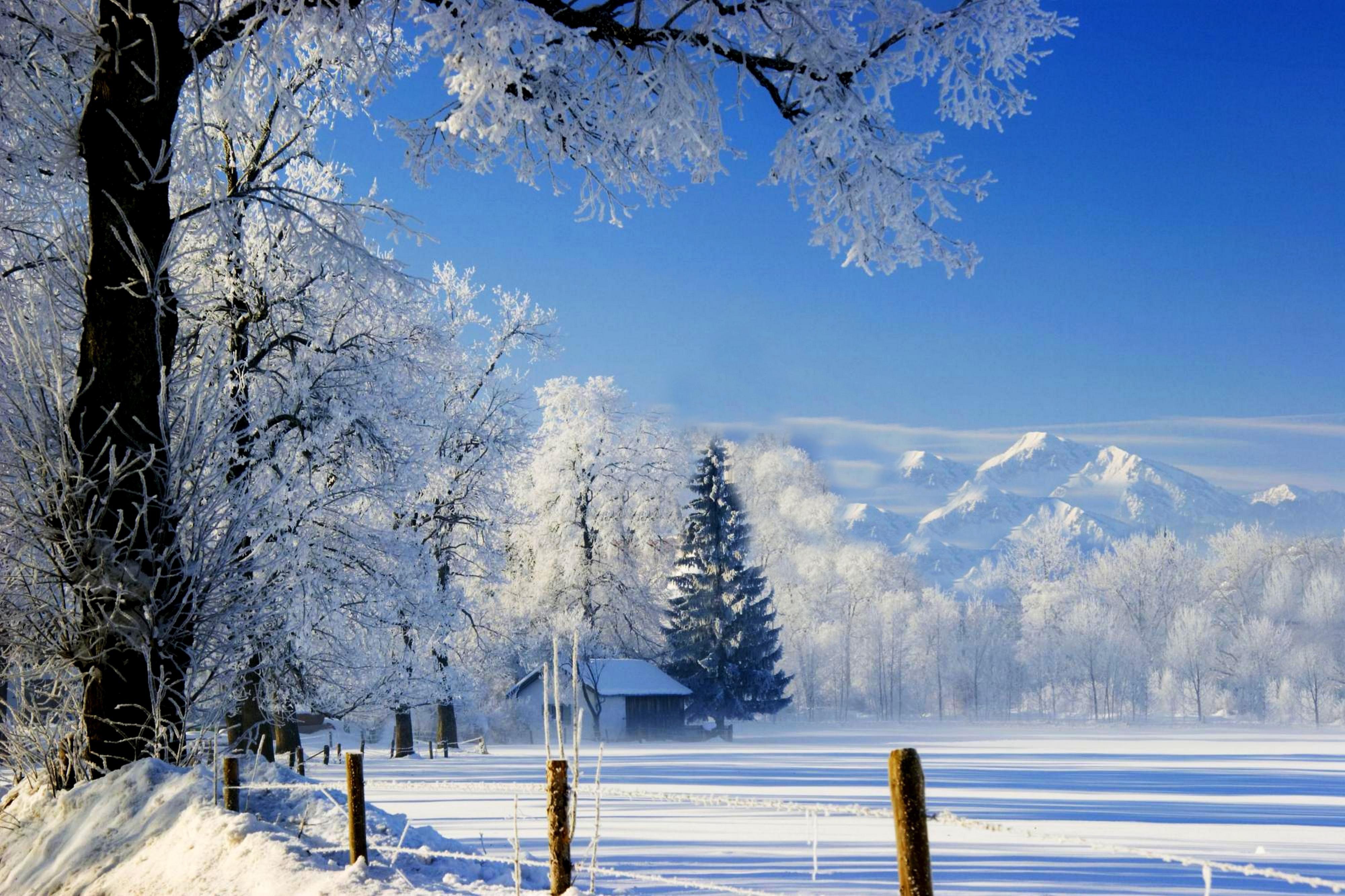 snow scenery wallpaper for sale