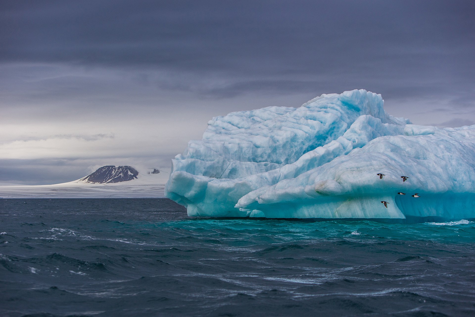 iceberg in the arctic Image Abyss