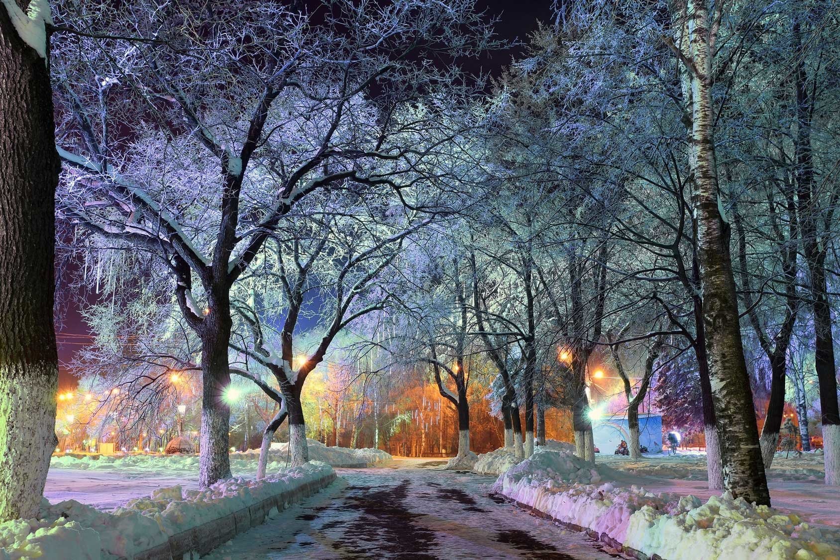  A municipal park in the city of Vologda, Russia