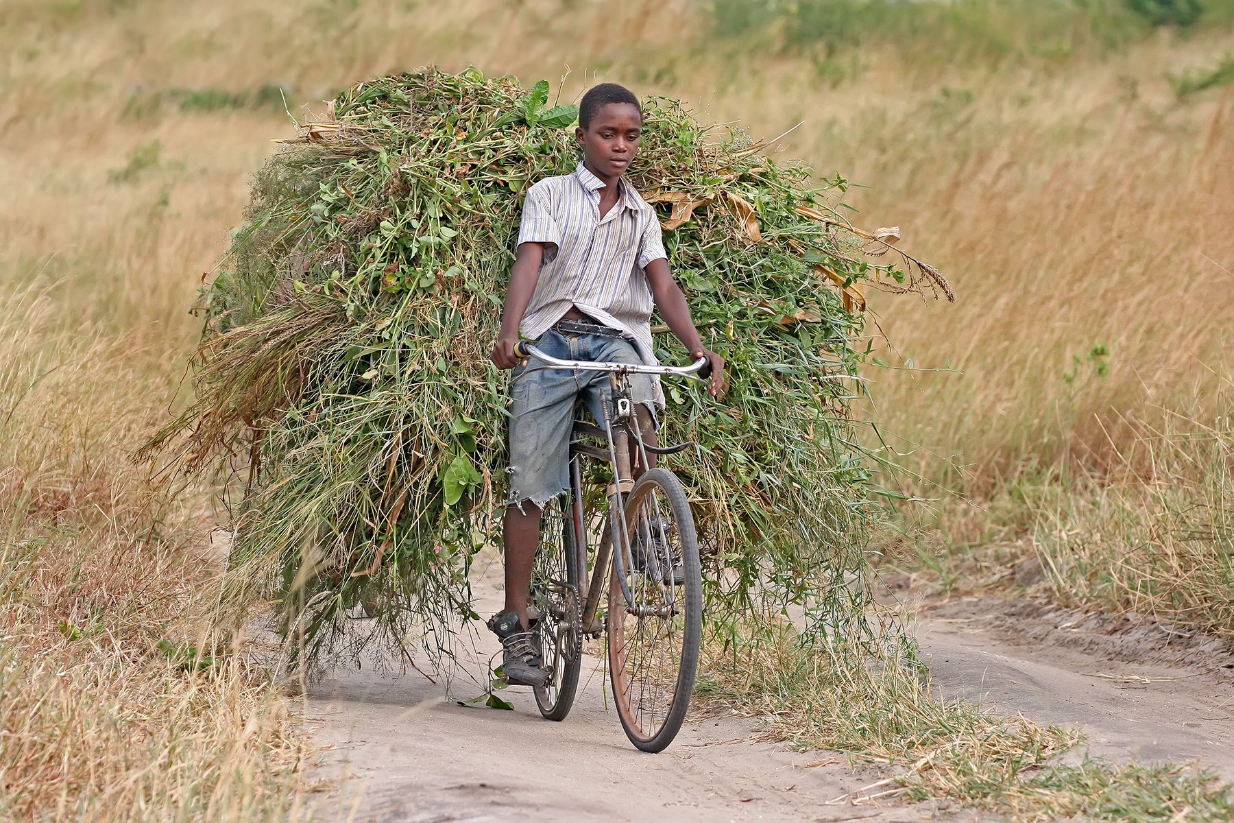 bike photography child Image
