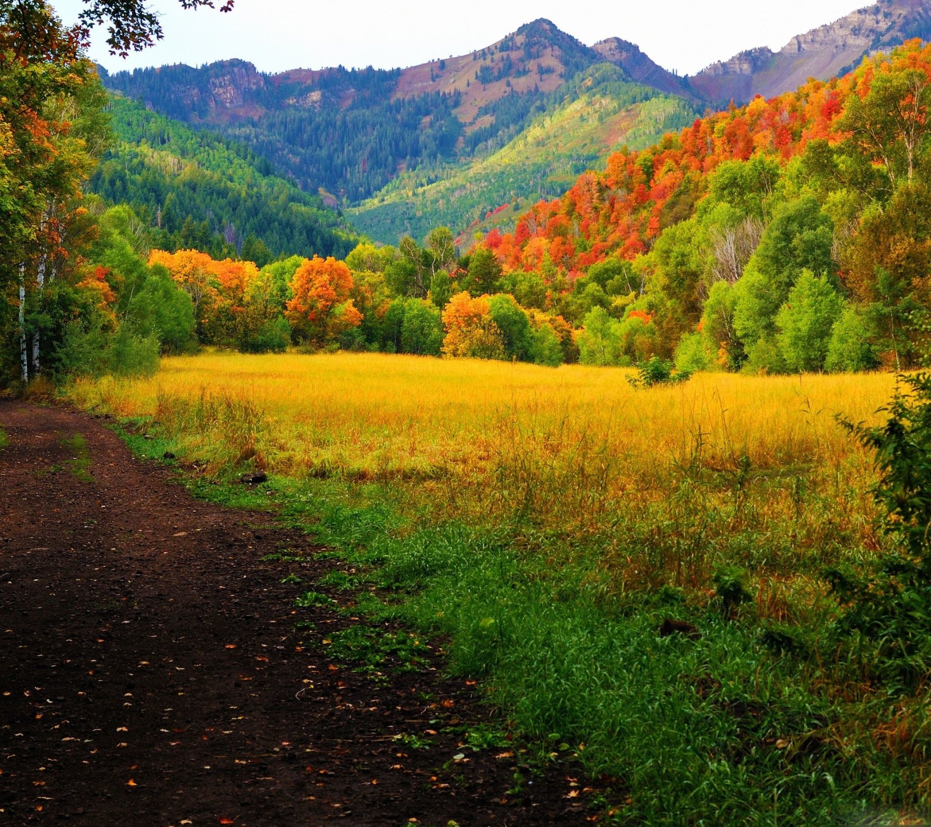  Provo Canyon Utah Autumn Forest Road