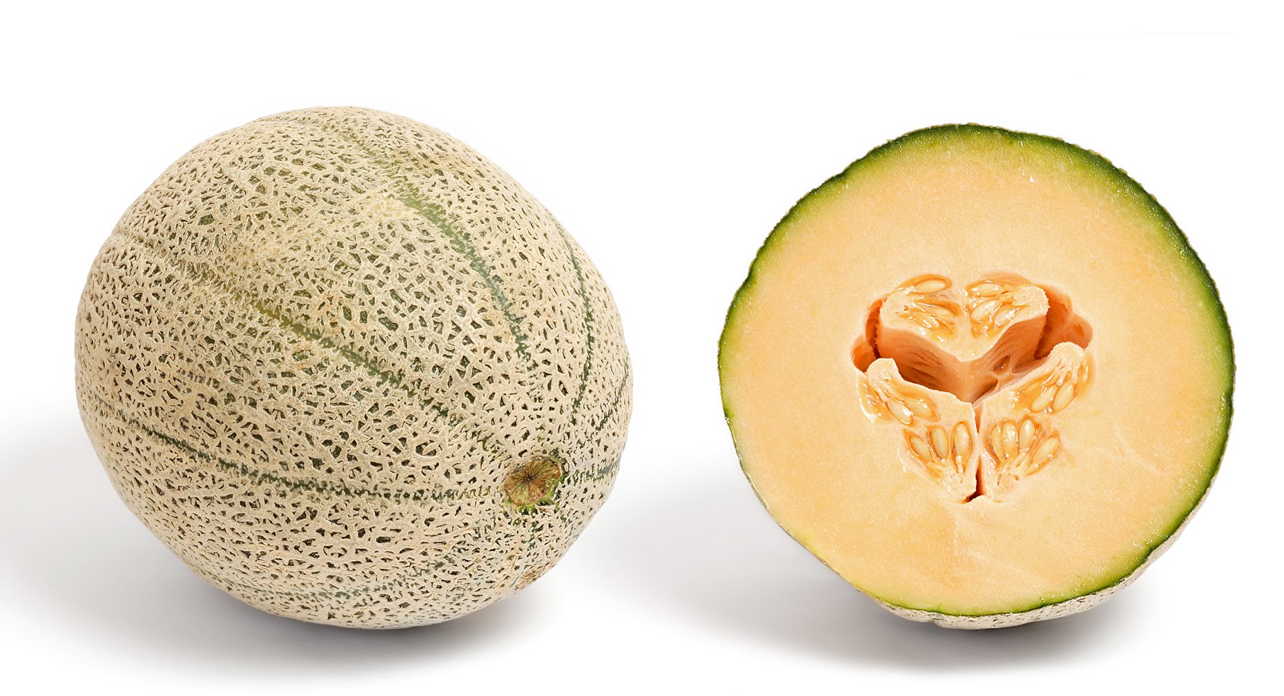 food melon Image