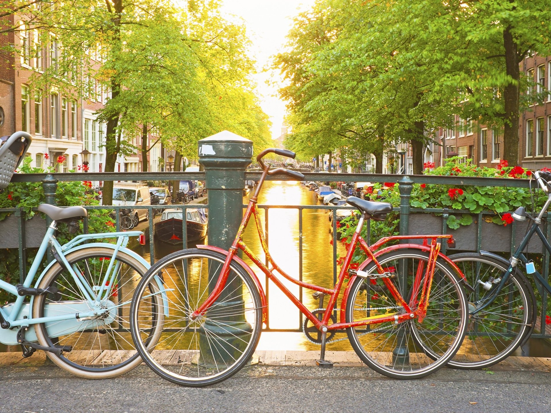 Download Bicycle Man Made Amsterdam Image