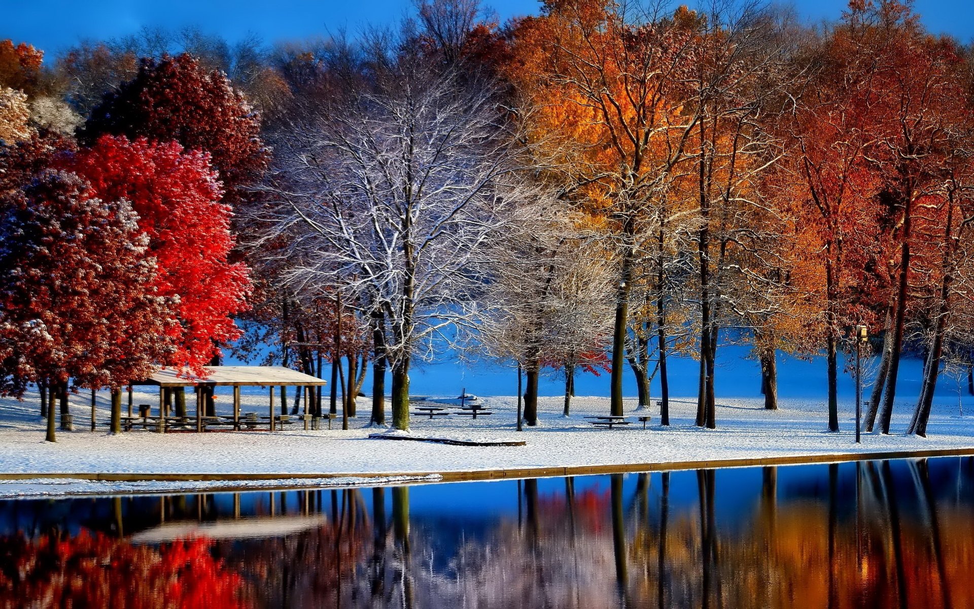 Photography captures a serene winter scene with colorful trees dusted in snow reflecting vibrant hues on a calm lake under a clear blue sky.
