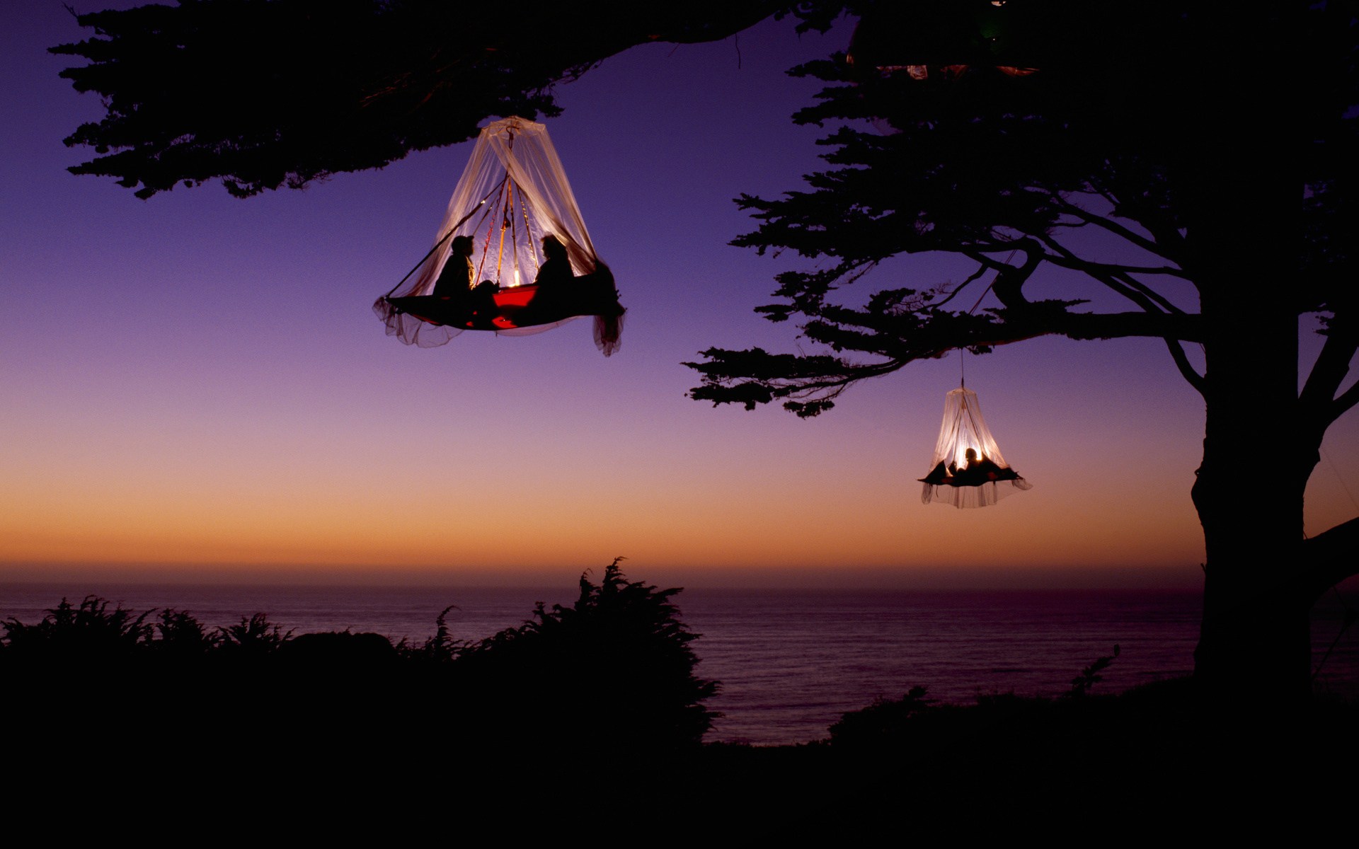 camping in tents hanging from trees