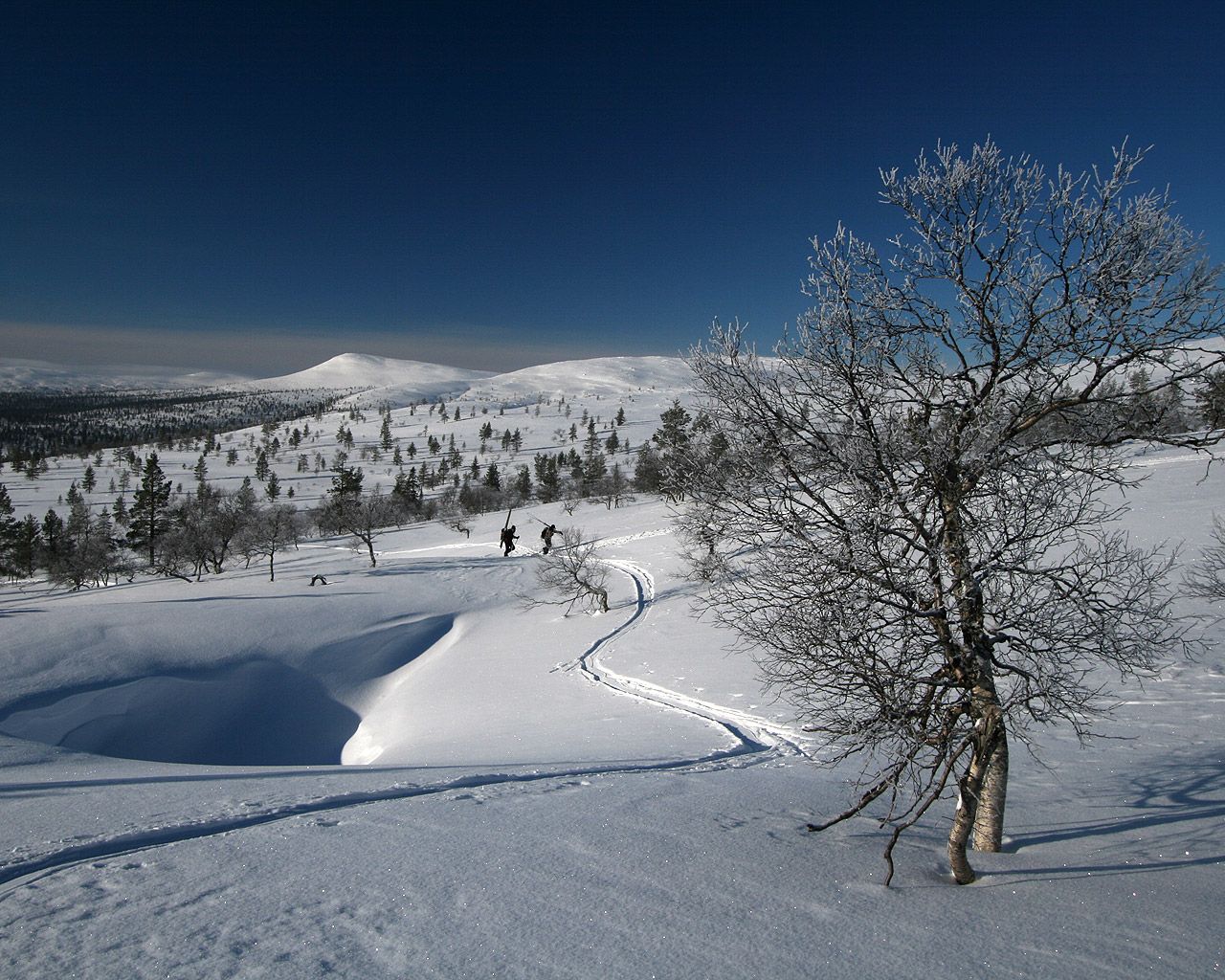 The beauty of Finland throughout the year - Image Abyss