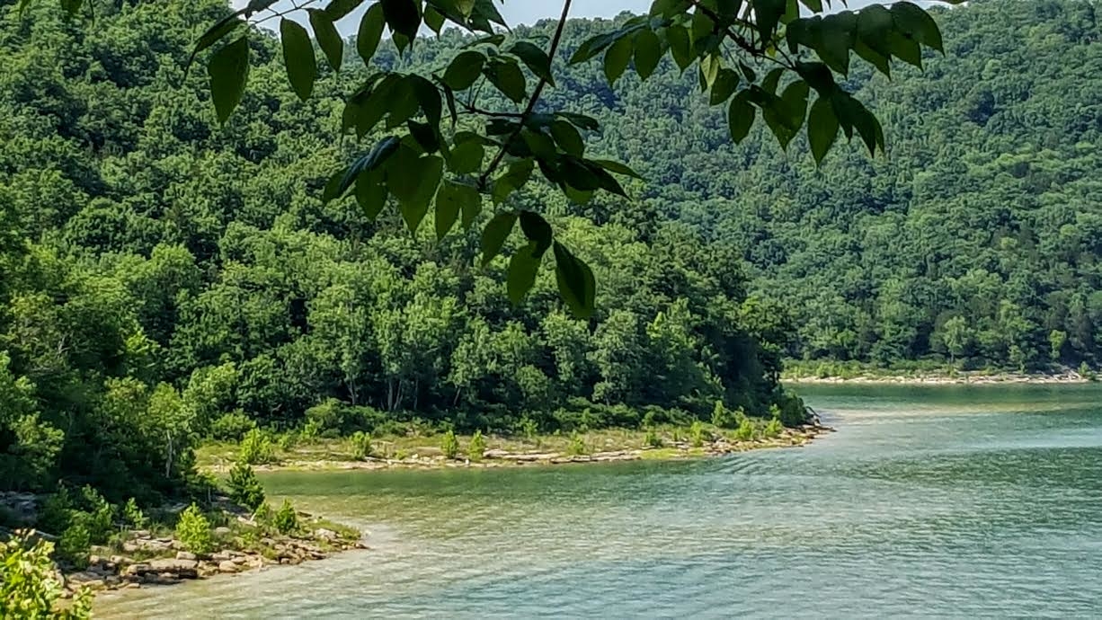 River Picture by debj458