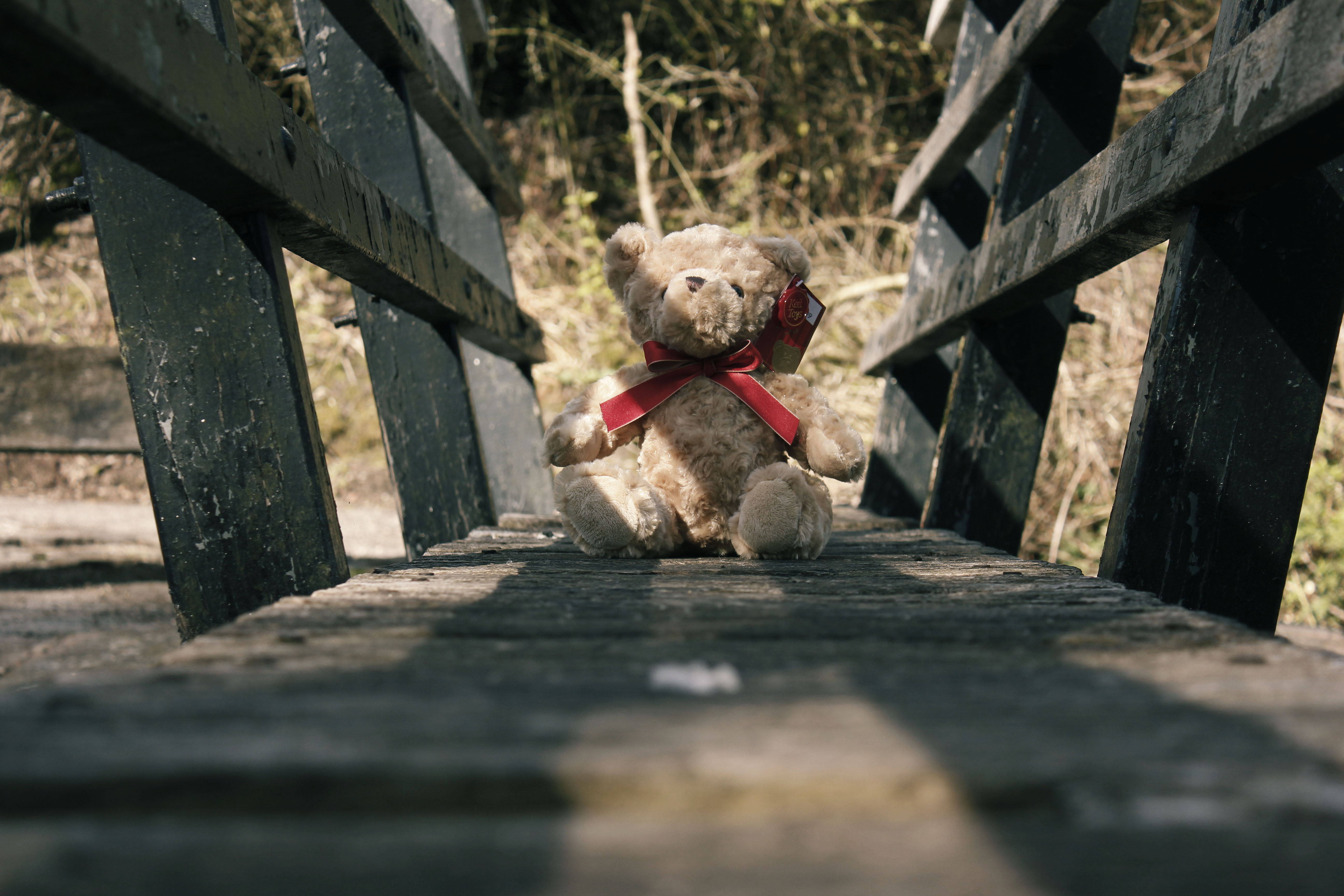 Bridge Teddy by bleak