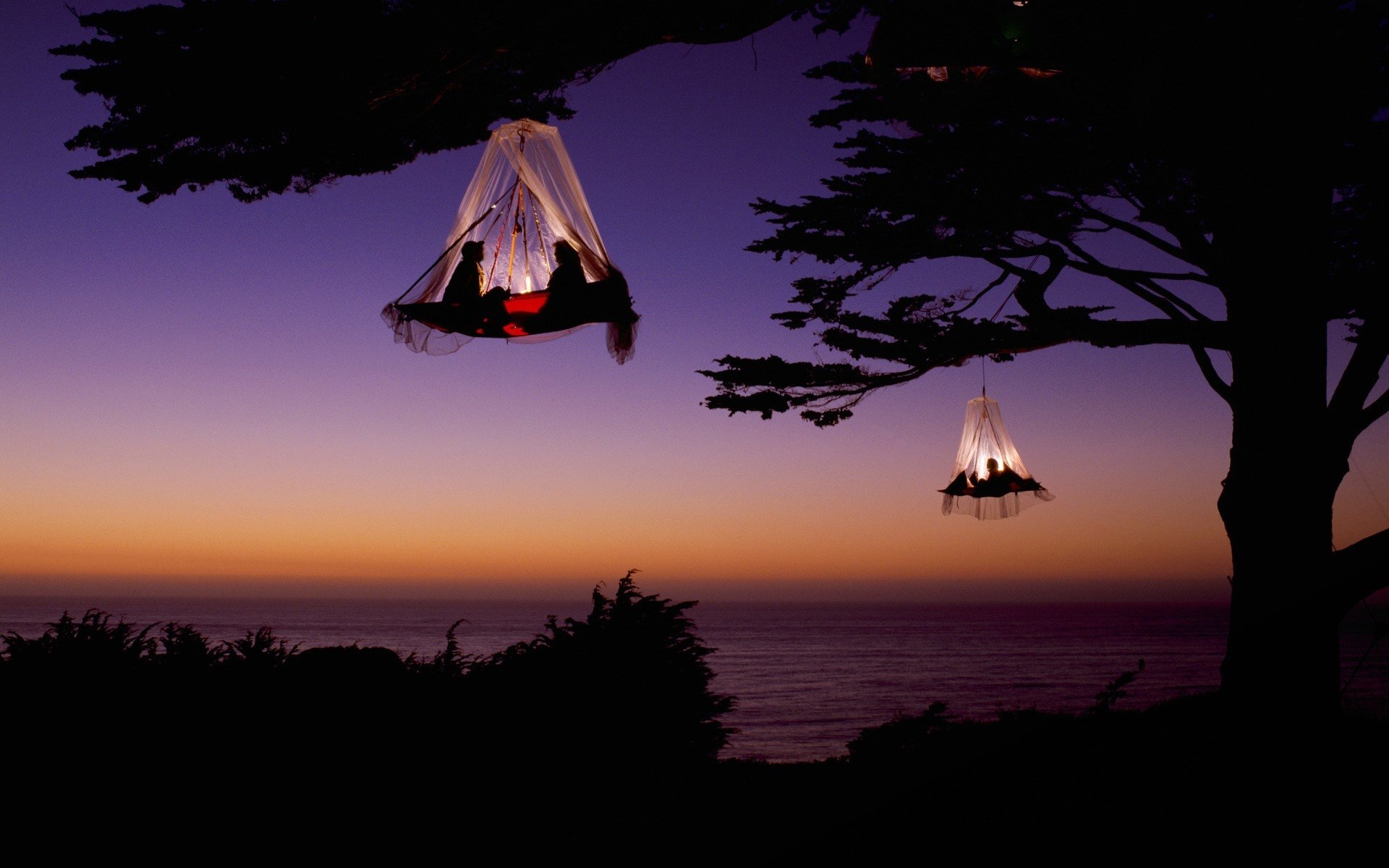  camping in tents hanging from trees