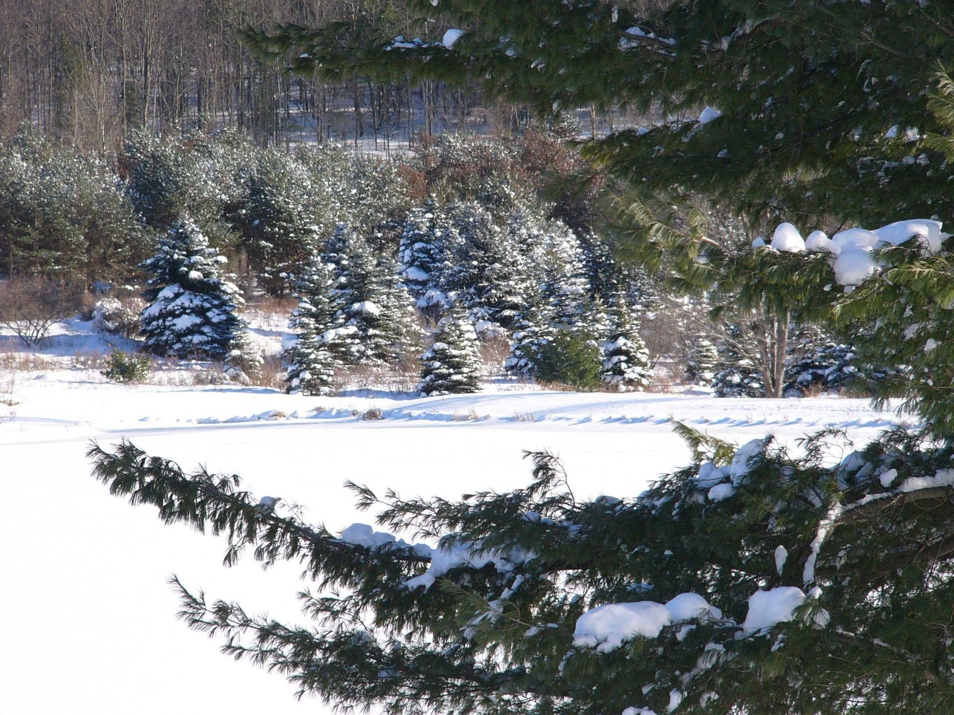  A look across the lake on a winter day in January 2014