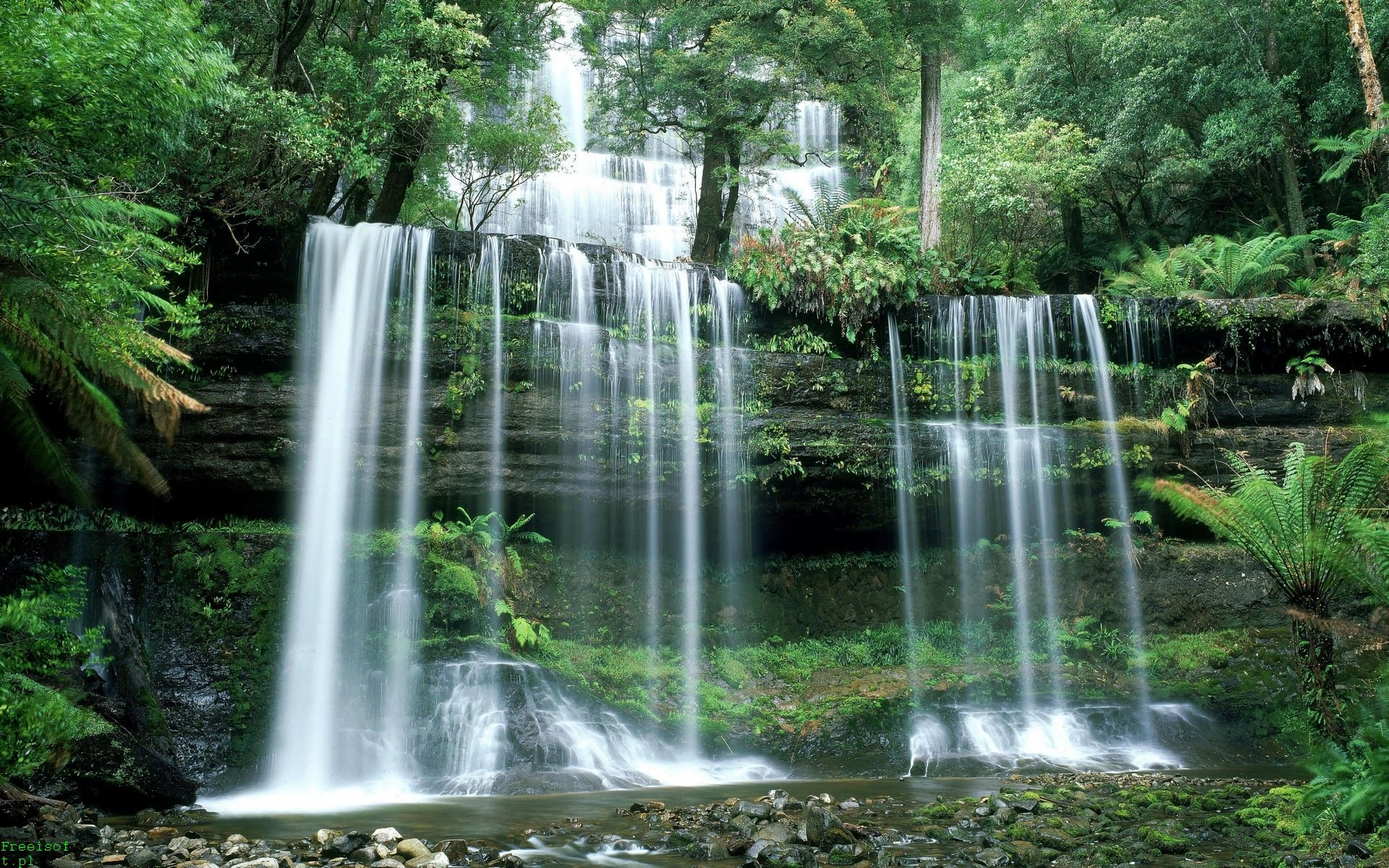  Waterfalls in Tasmanian Forest