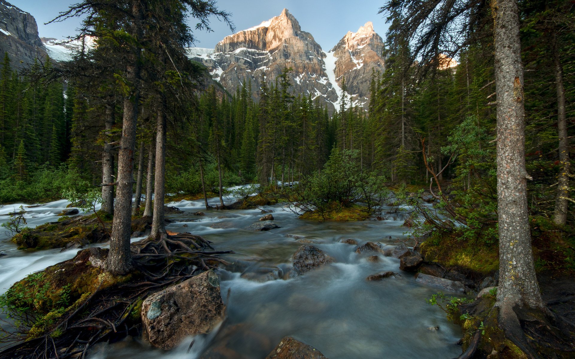 A serene nature landscape featuring a flowing river surrounded by tall pine trees with rugged, snow-capped mountains in the background under a clear sky.